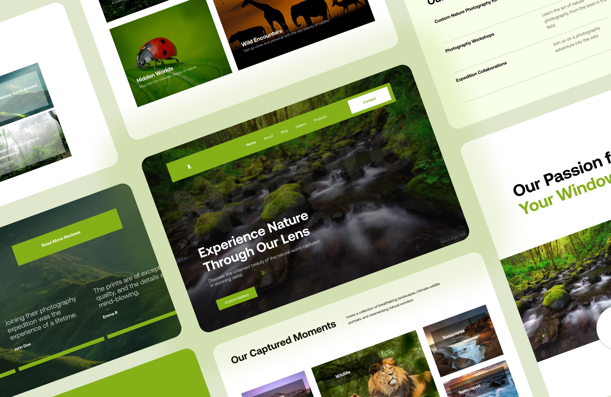 EverGreen Photography